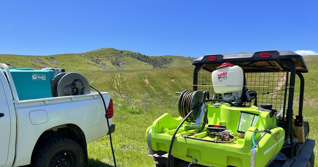 Why Weed Management Matters in Revegetation