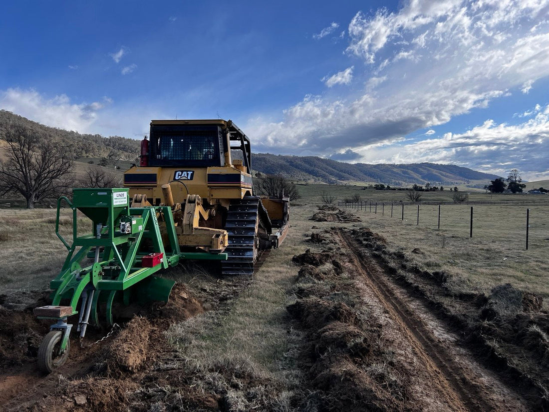 The Benefits of Direct Sowing Native Seed: A Natural Approach to Restoration